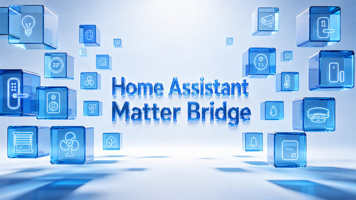 Home Assistant Matter Bridge 