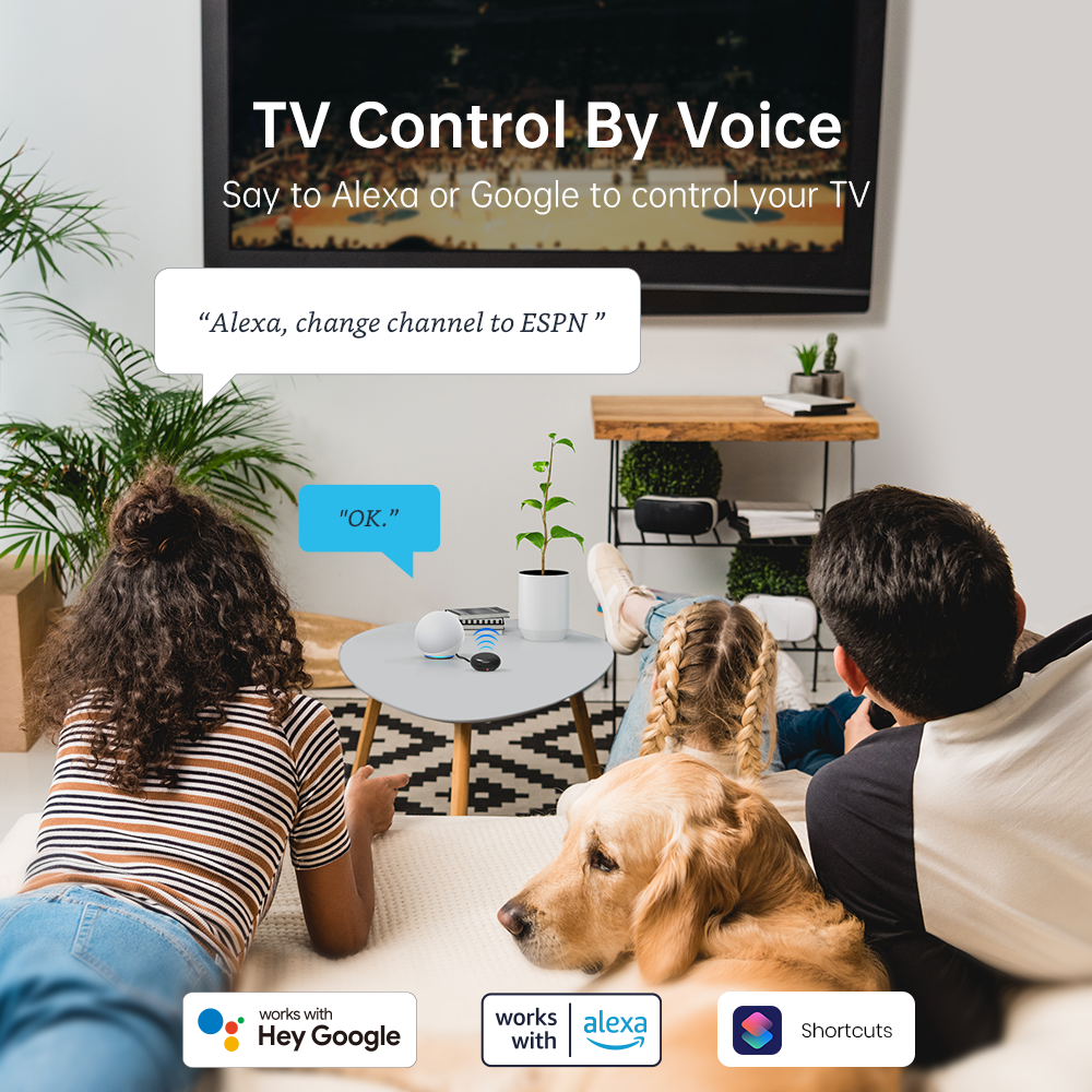 LinknLink eRemote HA: IR Universal Remote Hub